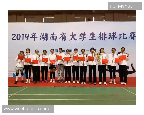 深圳排球队的崛起之路：从默默无闻到大满贯的辉煌历程