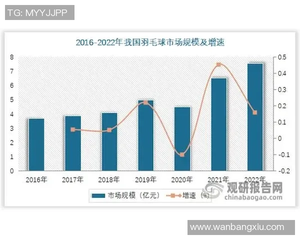 数据分析:北京羽毛球队的技术表现 数据分析:北京羽毛球队的技术表现