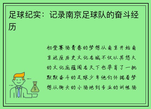 足球纪实：记录南京足球队的奋斗经历